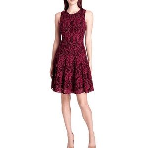 Tommy Hilfiger Lace Fit and Flare Dress